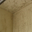 Mold and Mildew Removal