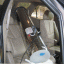 Car Odor Removal